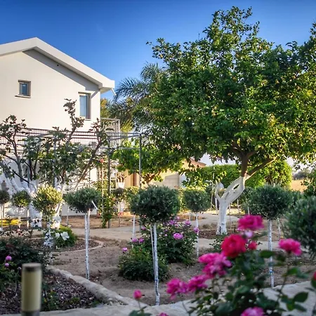 Oasis By The Sea - Cyprus *