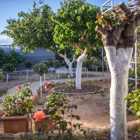 Ferienhaus Oasis By The Sea - Cyprus Larnaka