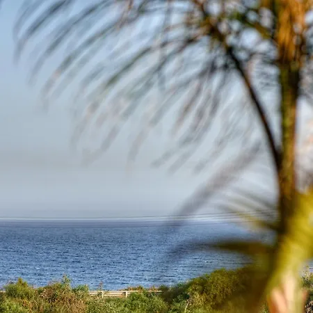 Semesterbostad Oasis By The Sea - Cyprus Larnaca